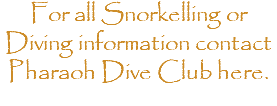 For all Snorkelling or Diving information contact Pharaoh Dive Club here.